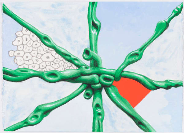 Alexander Ross Untitled, 2011 flashe, graphite and watercolor on paper 22 x 30 1/2 in 55.9 x 77.5 cm