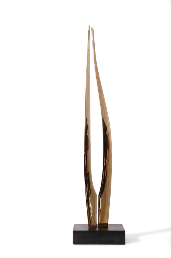 Margaret Lovell D.LITT, FRBS, RWA, Paleos IV, 2004