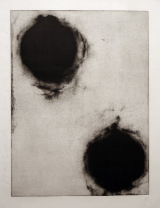 Donald Sultan Pomegranate II, 1990 Etching 42 x 26.6"