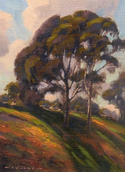 Young Eucalyptus & Poppies
