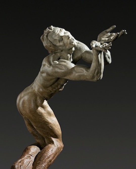 Butterfly, Half Life