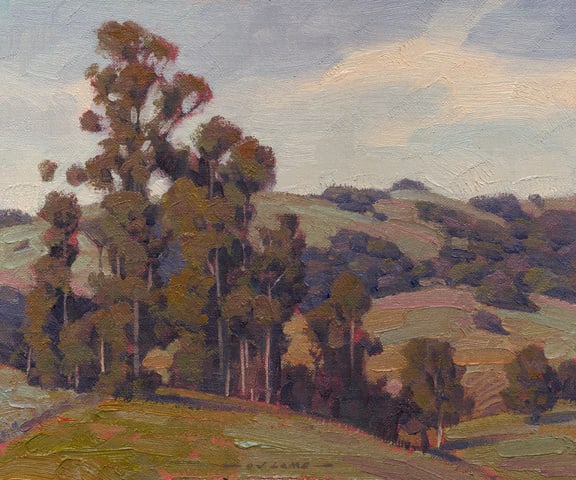 Eucalyptus & Oaks