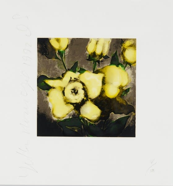 Donald Sultan Yellow Roses, 1992 Screenprint in colors 23 x 22"