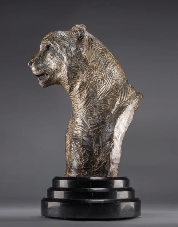 Cheetah Bust, Life Size