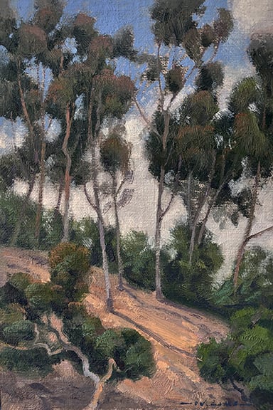 Skinny Trees (Eucalyptus)
