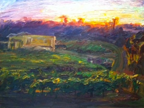 Sunrise, Wine Country In Summer