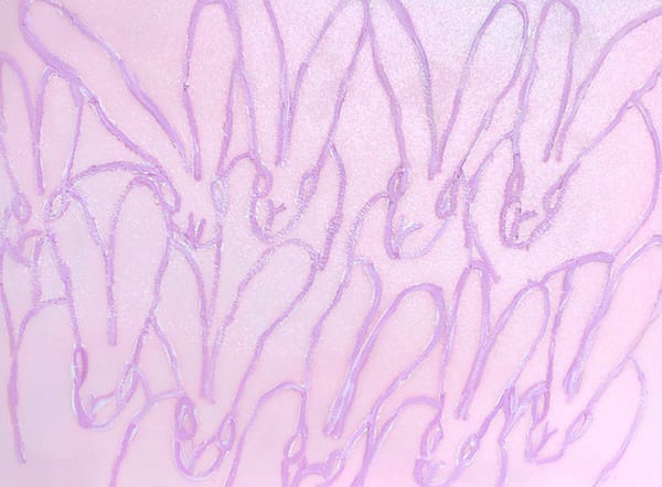 Hunt Slonem Rose Dove, 2019 Oil, acrylic, and diamond dust on canvas 30 x 40"