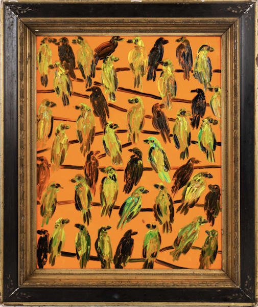 Star Finches