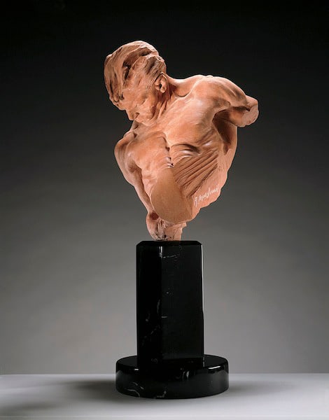 Gymnast Bust, Terra Cotta