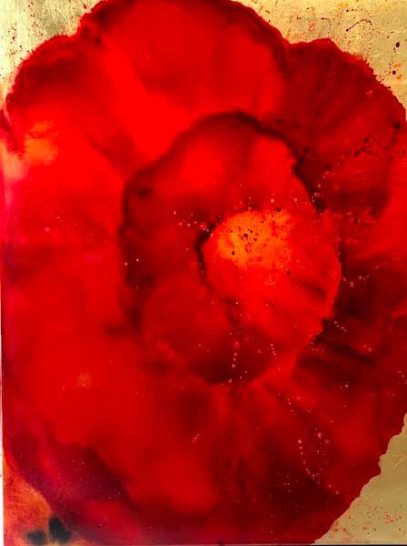 Red Bursts Over Gold II