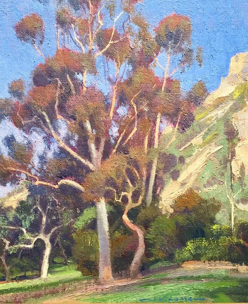 Morning Eucalyptus