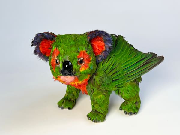 Emily Valentine, Lorikoala (standing), 2025