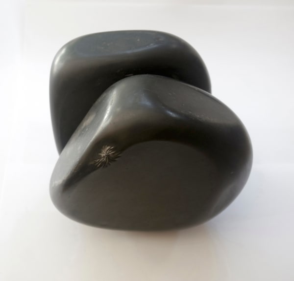 Jenny Pollak, A Rhapsodic Whistling on Two Notes