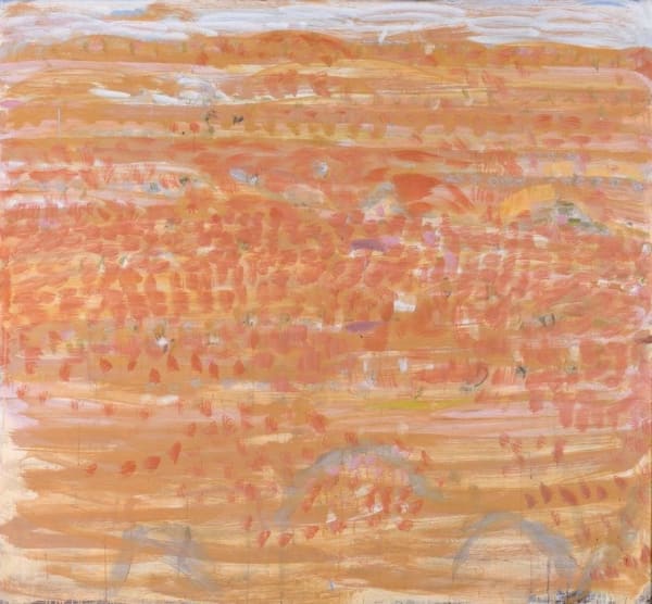 Joe Furlonger, Big Sky Country, NT, 2020