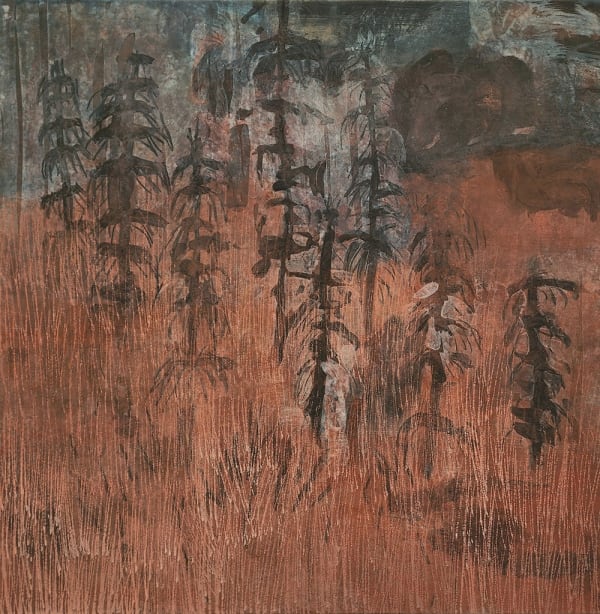 Michelle Hungerford, Desert Oak Calligraphy II, 2025