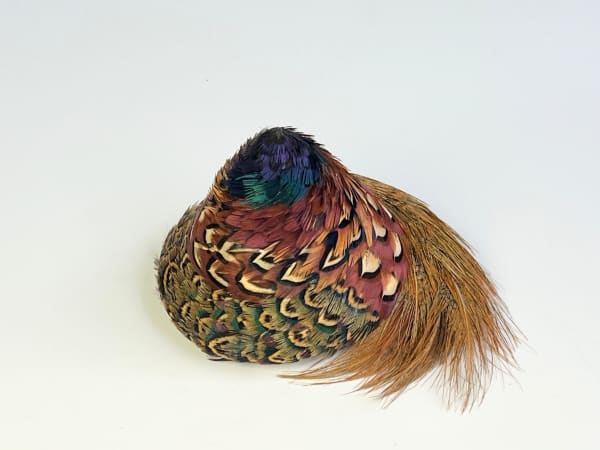 Emily Valentine, Tampheasant