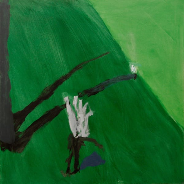 David Collins, Cycad Walk, 2018