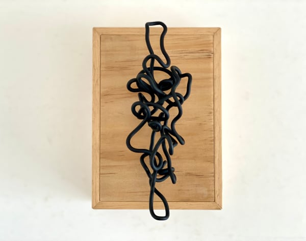 Tony Tozer, Entwined II