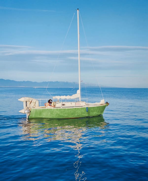 Boris Hoppek, Bimbo photo #9, 2017