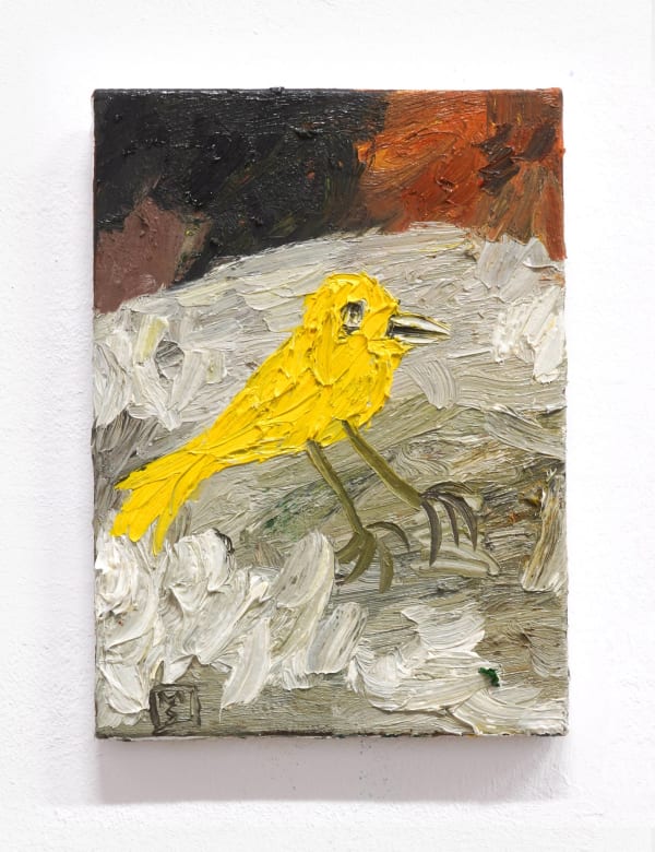 Matías Sánchez, Canario, 2019