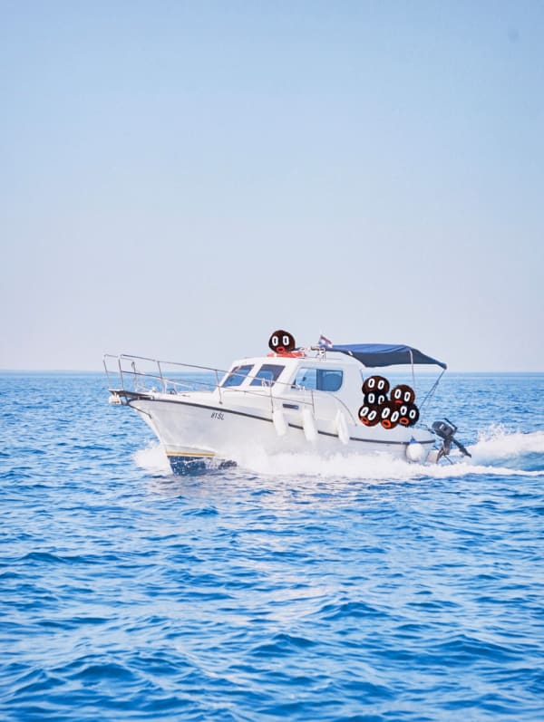 Boris Hoppek, Bimbo photo #10, 2017