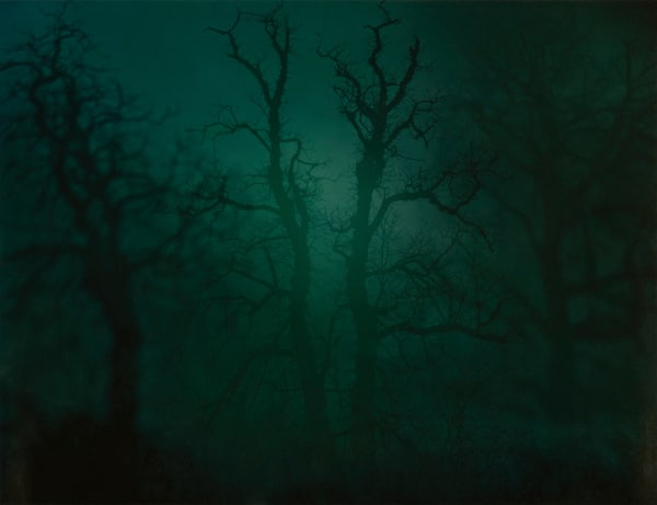 Nicholas Hughes, In Darkness Visible [Verse I, no. 14], 2007