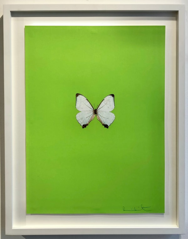 Damien Hirst, New Beginnings [green], 2011