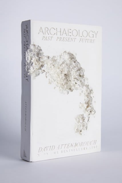 Daniel Arsham, Fictional Nonfiction: Archaeology, 2019