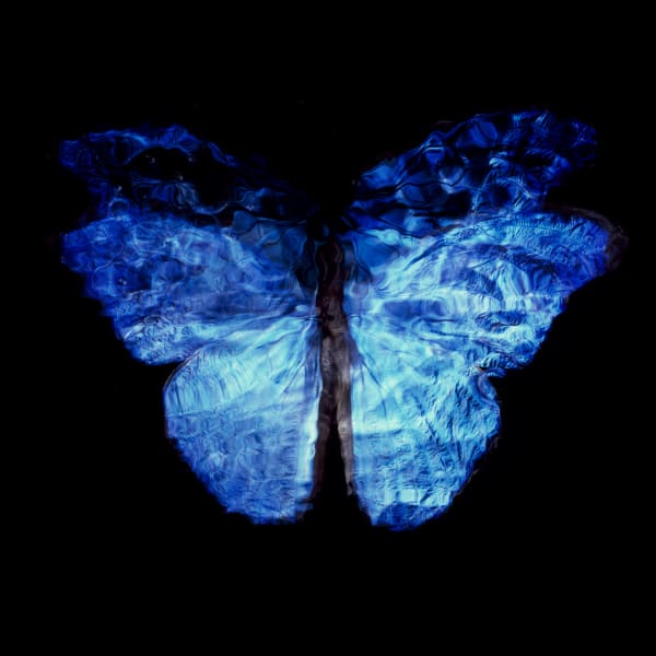 Alexander James Hamilton, Transparency of a Dream [0813-28], 2013-2018