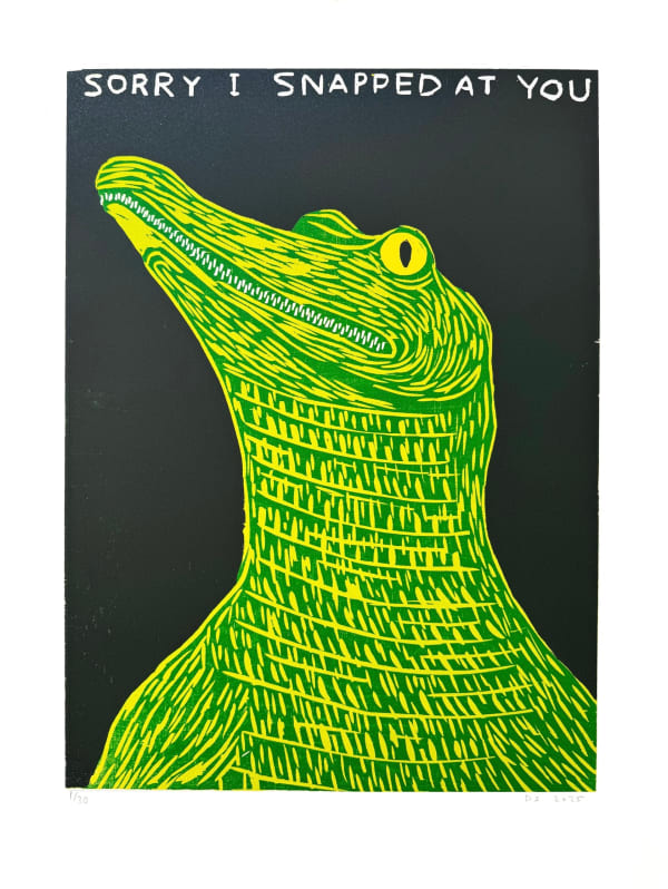 David Shrigley, Sorry I Snapped At You, 2025