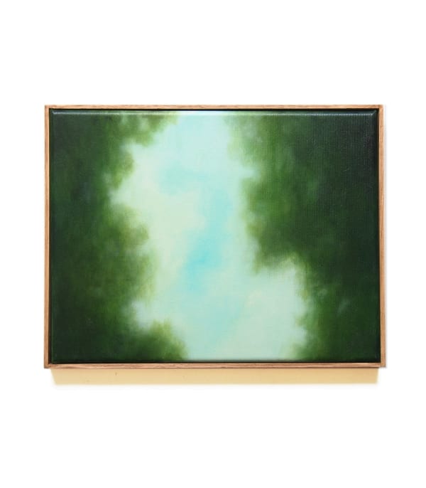 Mégane Likin, Lumières et canopées, 2025