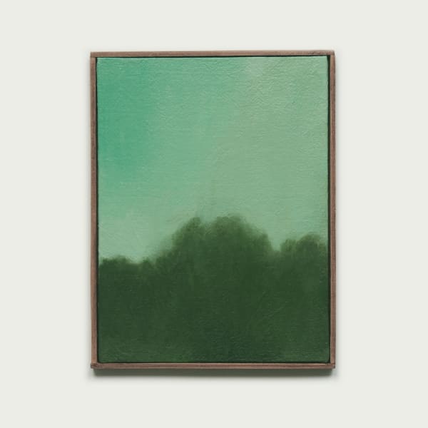 Mégane Likin, Fenêtres transitoires , 2024