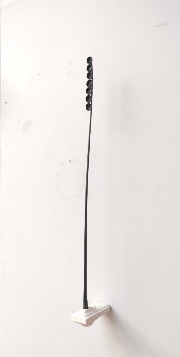 Anthony Leenders, Pyré, 2025