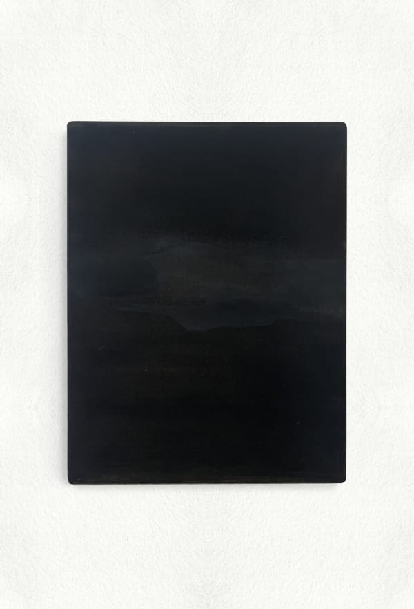 Penelope Deltour, Echo 019, 2024