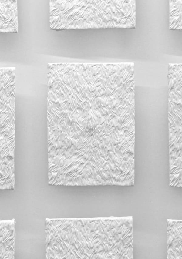 Anthony Leenders, Ambra