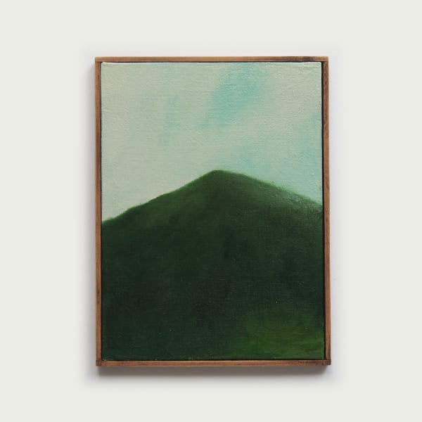 Mégane Likin, Fenêtres transitoires , 2024