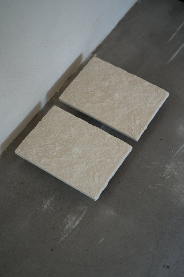 Anthony Leenders Ambra, 2025 28 x 20 cm