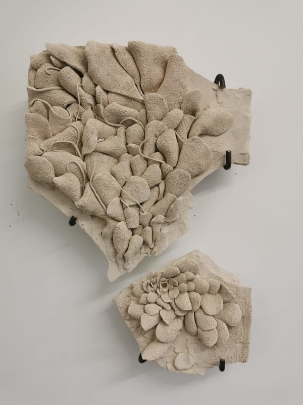 Anthony Leenders, Untitled, 2025