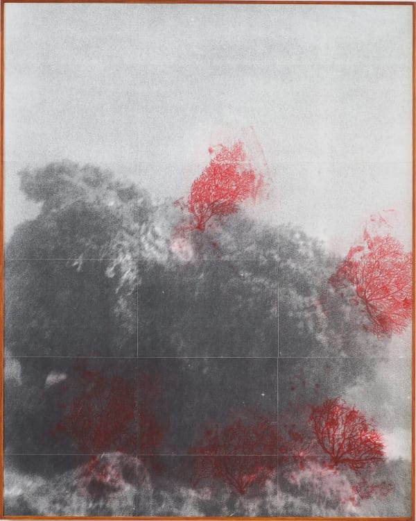 Toon Jans Gorgeia III, 2024 151 x 121 cm