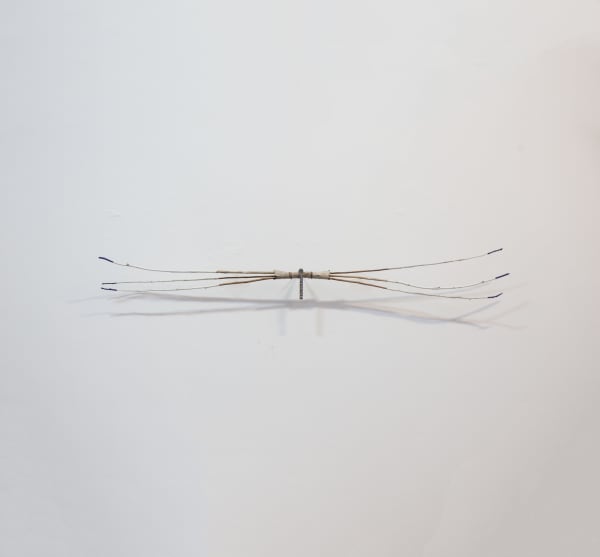 Anthony Leenders, Libero, 2025