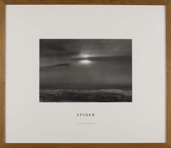 Hamish Fulton, Spider, 1985