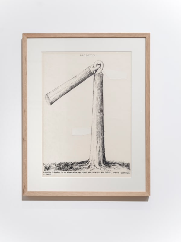 Nobuo Sekine, Project (sculpture dans un arbre), 1970