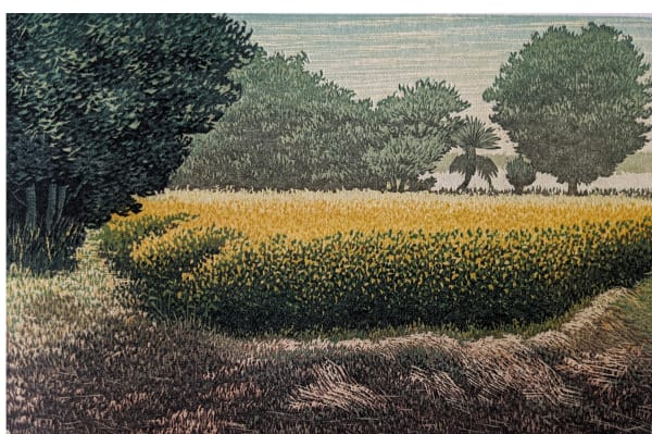 Raja Boro, Power-III, 2023