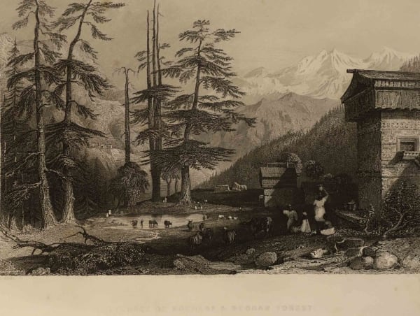 W. Floyd, Village of Koghera & Deodar Forest
