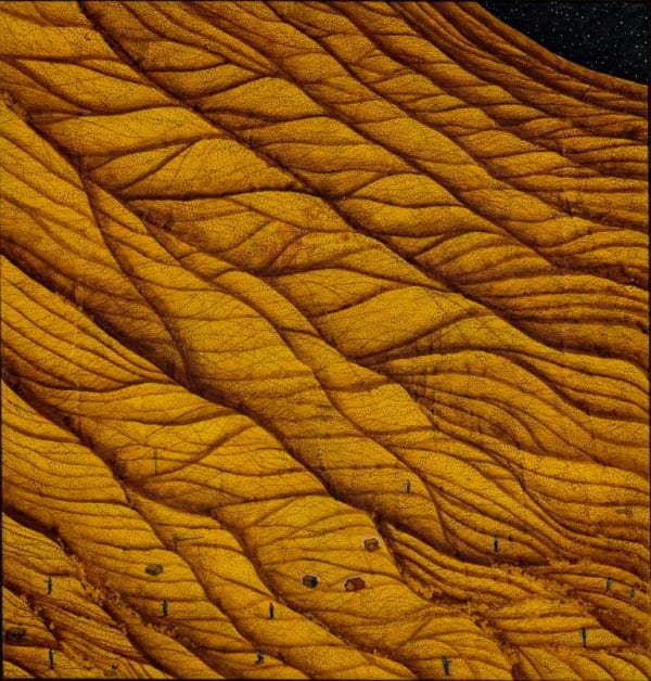 Ravi Chaurasiya, Empty Living Spaces