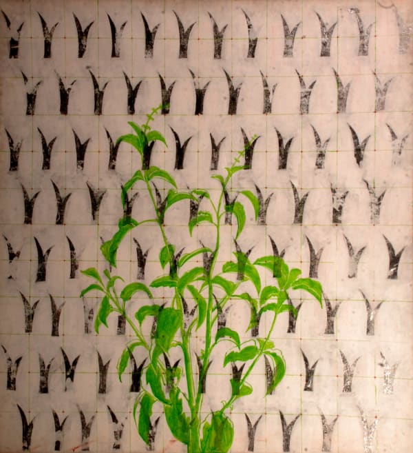 M. S. C. Satya Sai, Tulsi, 2006