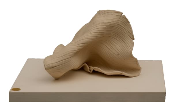 Rewati Shahani, Untitled