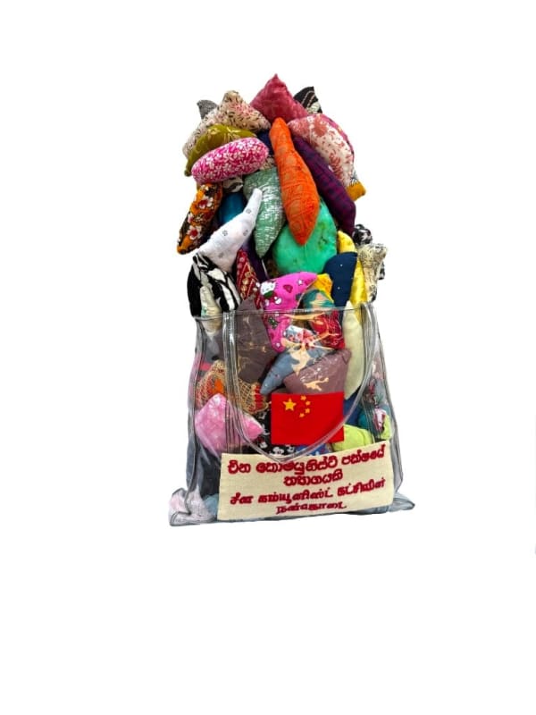 Hema Shironi, Donation of Chinese Communist Party, 2024