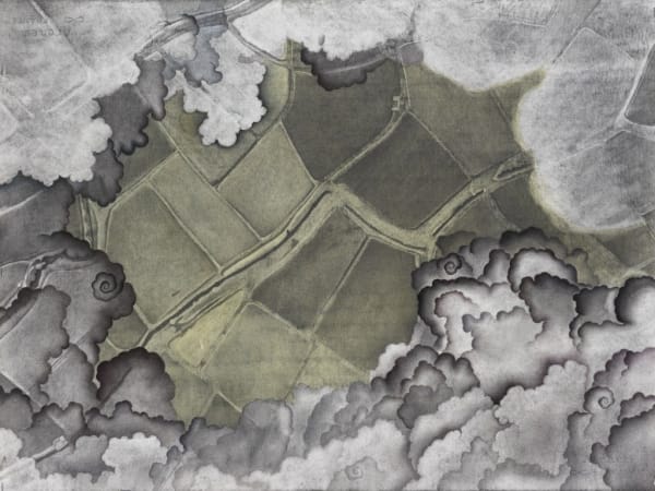 Sajid Khan, Aerial Bloom, 2024