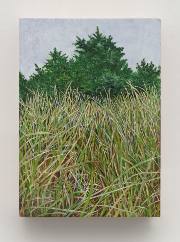Pam Posey Perpetual Meadow, 2024